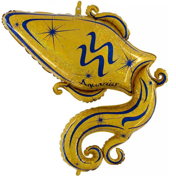 Aquarius Zodiac Gold