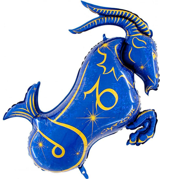 Capricorn Zodiac Blue